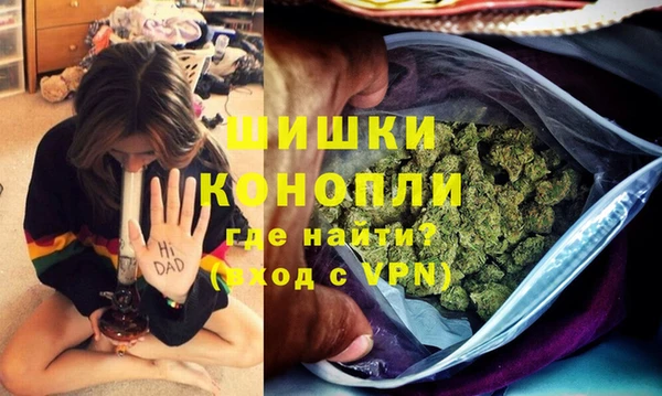 шишки Дмитровск