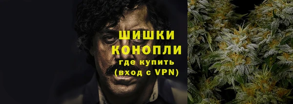 молекула духа Дмитров