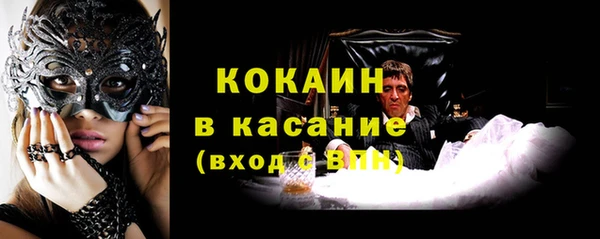 шишки Дмитровск