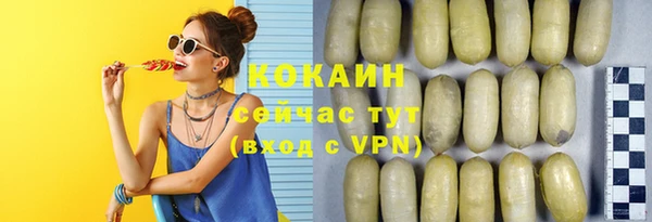 молекула духа Дмитров