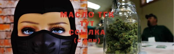 гидропоника Дмитриев