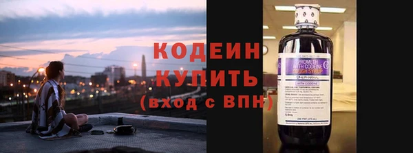 шишки Дмитровск