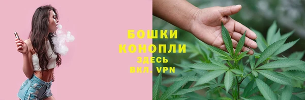 гидропоника Дмитриев