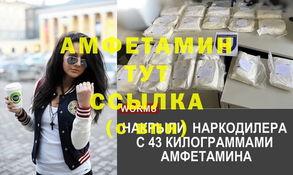 гидропоника Дмитриев