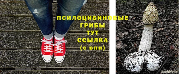 молекула духа Дмитров