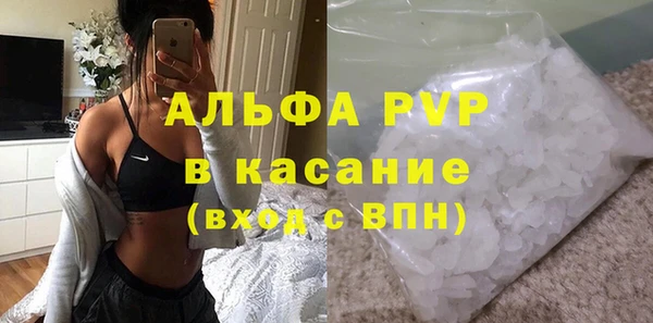 шишки Дмитровск