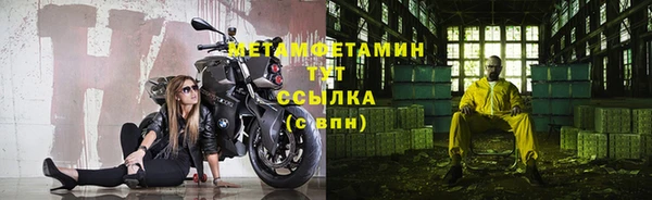 шишки Дмитровск