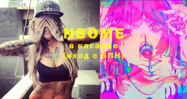 шишки Дмитровск
