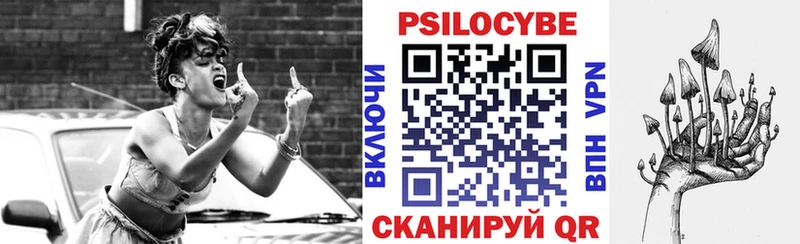 Псилоцибиновые грибы Psilocybine cubensis  Купить  Новосиль 